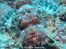 Scorpionfishface by Jimmela Sabanate 